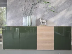 Anrichte Sideboard Farn Korpus Knorrige Eiche Puro Geölt Front Glas 6003 Olivgrün Grün Glänzend