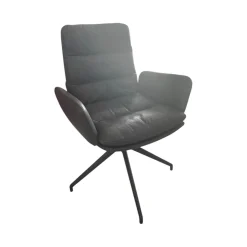 Armlehnstuhl Arva 1513 A Leder PG3 Rawhide 356 Schwarz 4 Fuß Sterngestell M02 Struktur Schwarz Drehbar