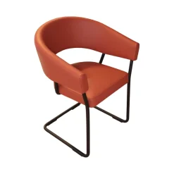 Armlehnstuhl D9 Leder II Terracotta Braun Orange Rot Gestell Stahlrohr Schwarz Pulverbeschichtet Kufengleitet Filz Ohne Tisch