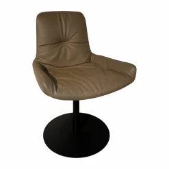 Armlehnstuhl Leya Low Leder Sahara Platino Braun Grau Tellerfuß Metall Tiefschwarz Mit Filzgleitern