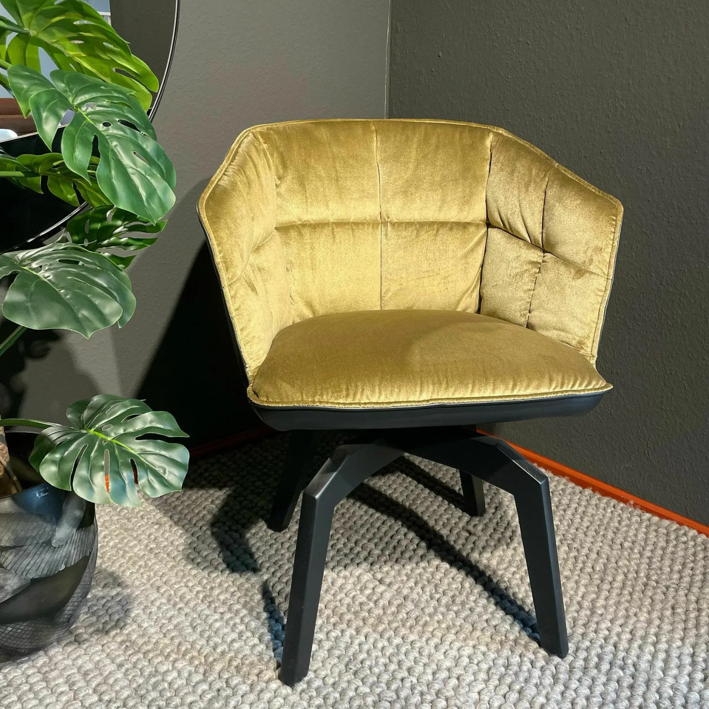 Armlehnstuhl Marla High Innen Stoff Avalon 21 Gold Gelb Leder Opium Carbon Schwarz Gestell Eiche Schwarz