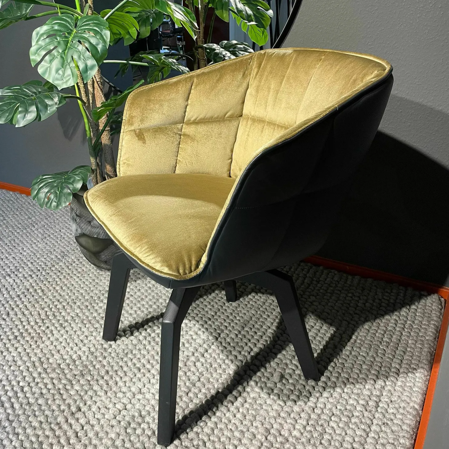 Armlehnstuhl Marla High Innen Stoff Avalon 21 Gold Gelb Leder Opium Carbon Schwarz Gestell Eiche Schwarz