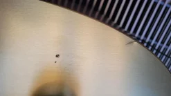 Beistelltisch Midas Messing Geschliffen Leicht Brüniert Sockel Handpoliert