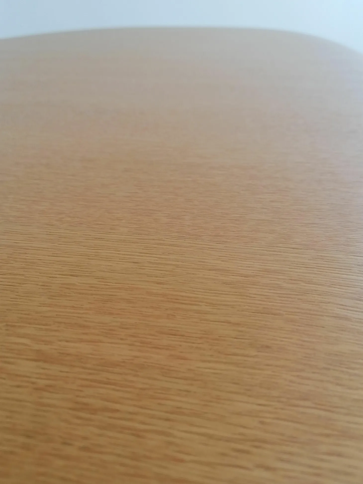 Besprechnungstisch Graph 300/00 Platte Furnier Eiche Natur Lackiert Gestell Glanzverchromt Mit Gleitern