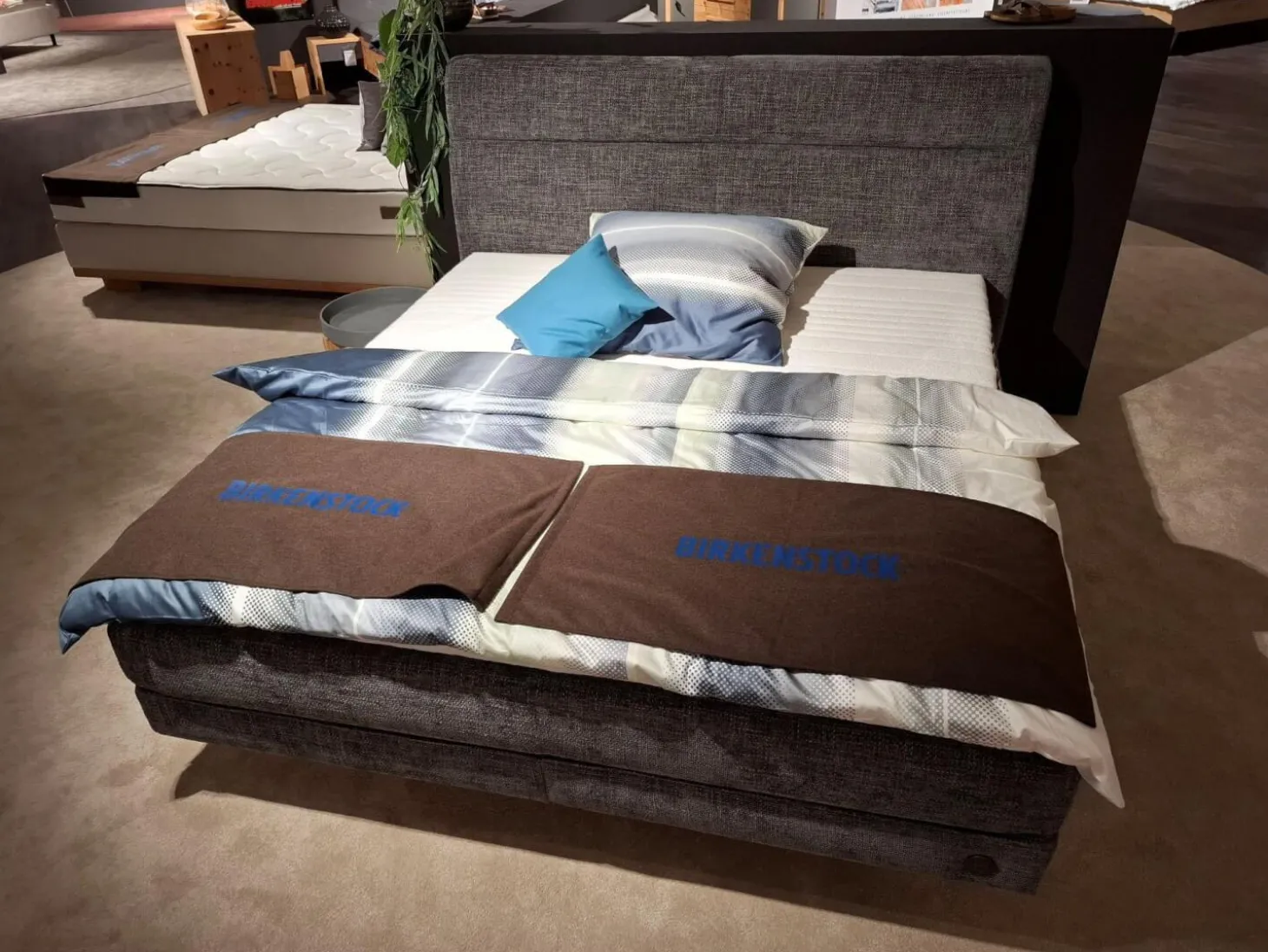 Boxspringbett Arran Stoff S TRE16 Dunkelgrau Füße Schwebesockel Inklusive Matratze