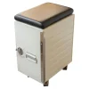 Container Box White Mit Leder Sitzkissen