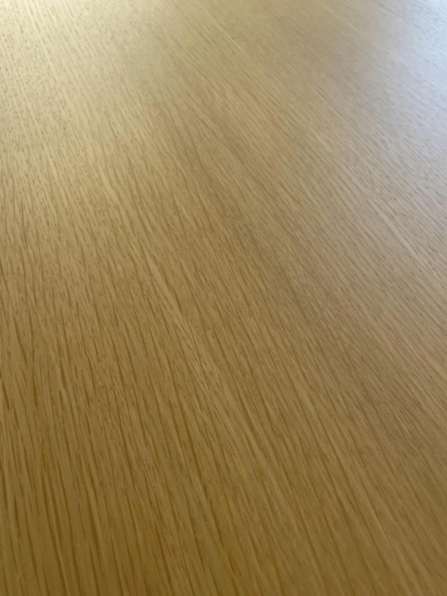 Couchtisch Solo Ellipse Platte Eiche Matt Unterplatte Lichtgrau Grau Weiß Füße Chrom