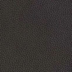 Ecksofa 1950 Leder 33 Longso Coffee Schwarz Anthrazit Holzteile Buche 042