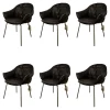 6er Set Armchair Marie Leder Adora Canelo 95007 Schwarz 4 Fuß Stahlgestell Bronze Lasur Schwarz