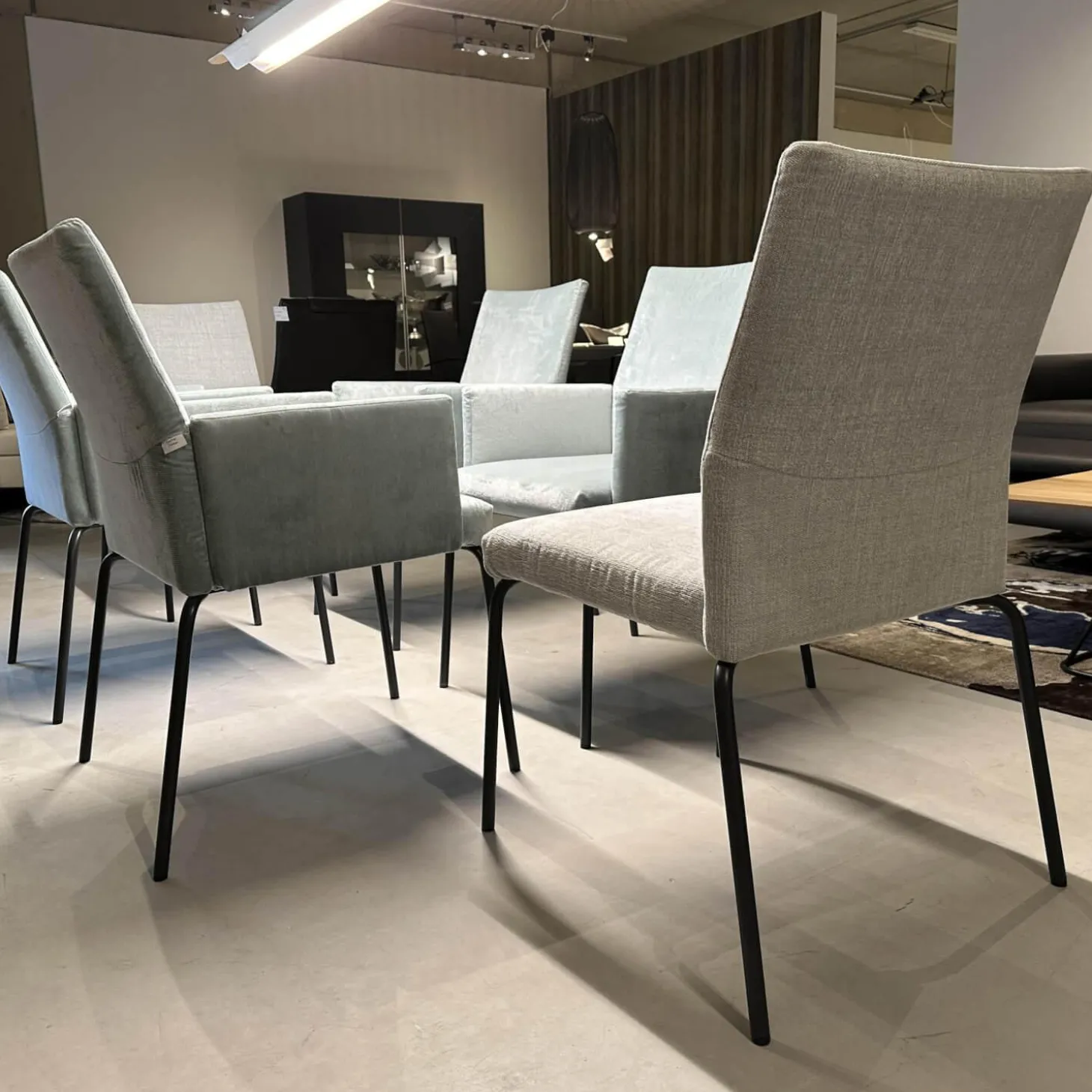 6er Set Sessel Kalos Stoff Velvet Lagoon Stoff Moss Agua Fuß Edelstahl Pulverbeschichtet Anthrazit Strukturlack Matt