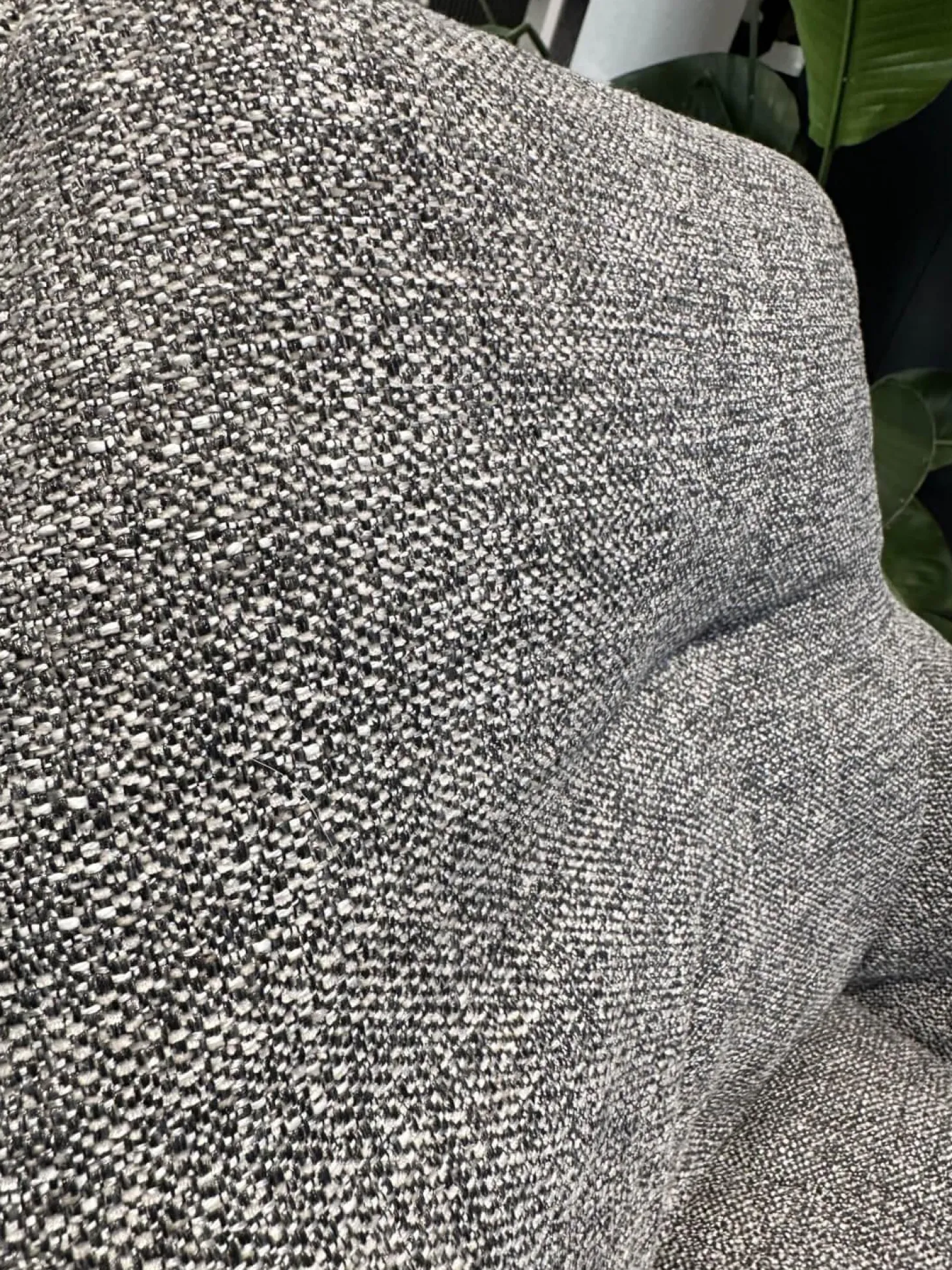 2er Set Stuhl Daron Dining Außen Leder Normandie 1 Schwarz Innen Stoff Yoko BW1727 191 Schwarz Weiß Holzgestell Eiche Massiv Schwarz Gebeizt