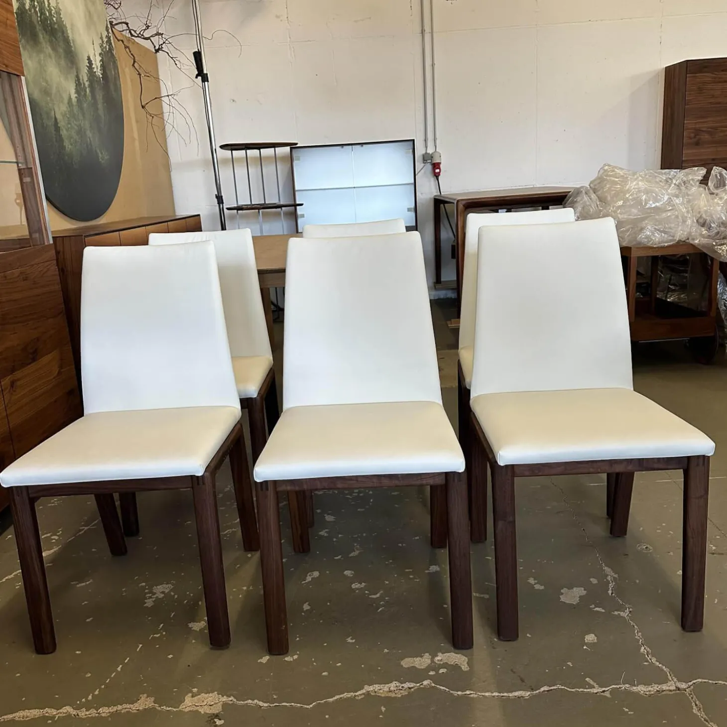 6er Set Stuhl Fugo Leder 2 48 Weiß Gestell Nussbaum Natur Geölt