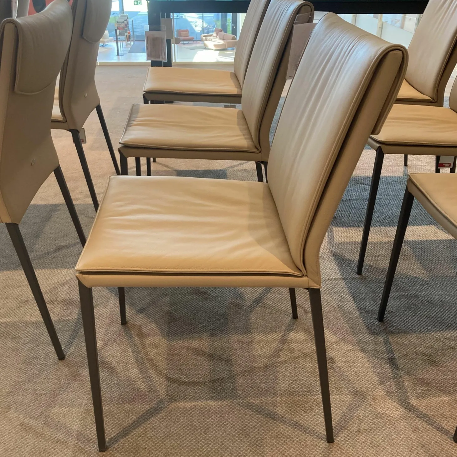 8er Set Stuhl Isabel Softleder Safari Beige Füße Metall Graphit Anthrazit Matt