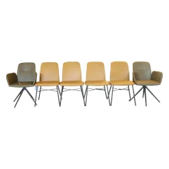 6er Set Stuhl S1000 Leder Senf Gelb Und Leder Grün Gestell Pulverbeschichtet Anthrazit