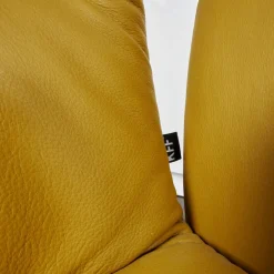 2-er Stuhlgruppe Arva Light Mit Armlehne Leder Sauvage Citrin 8118 Drahtkufe Schwarz