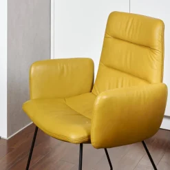 2-er Stuhlgruppe Arva Light Mit Armlehne Leder Sauvage Citrin 8118 Drahtkufe Schwarz