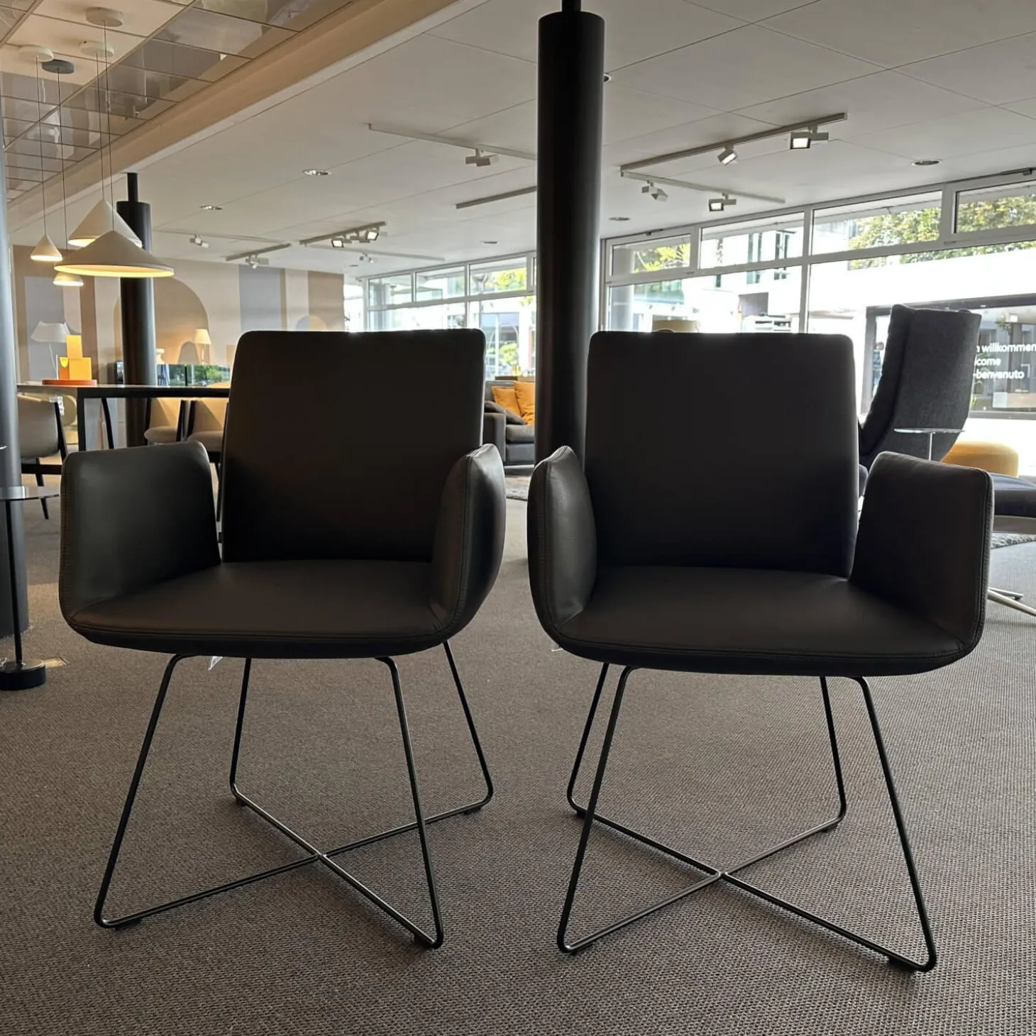 2er-Set Armlehnstuhl Jalis 541 Leder 287 Grau Drahtgestell Metall Schwarz Pulverbeschichtet