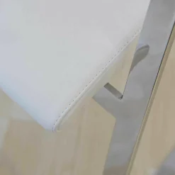 2er-Set Schwingstuhl 967-01 Chrom Glanz F 40 Leder No1 Nuvola 117