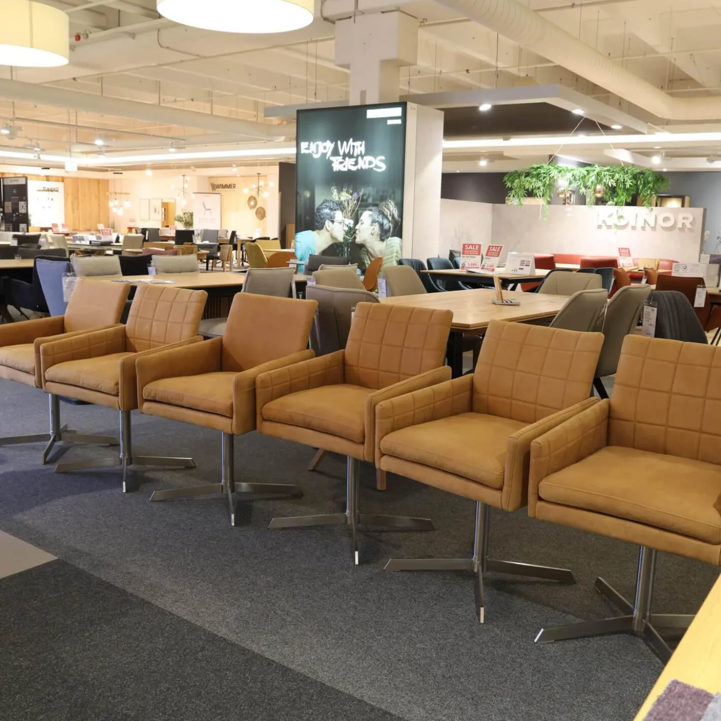 6er-Set Sessel Ricardo Leder Kenia Cognac Braun Drehgestell Edelstahl Matt Mit Gleiterstopfen