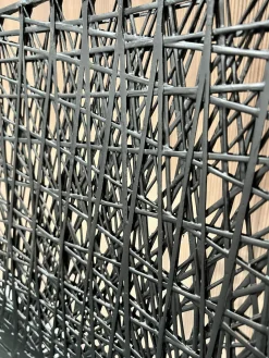 2er-Set Stuhl Carbon Chair Schwarz Mit Kissen