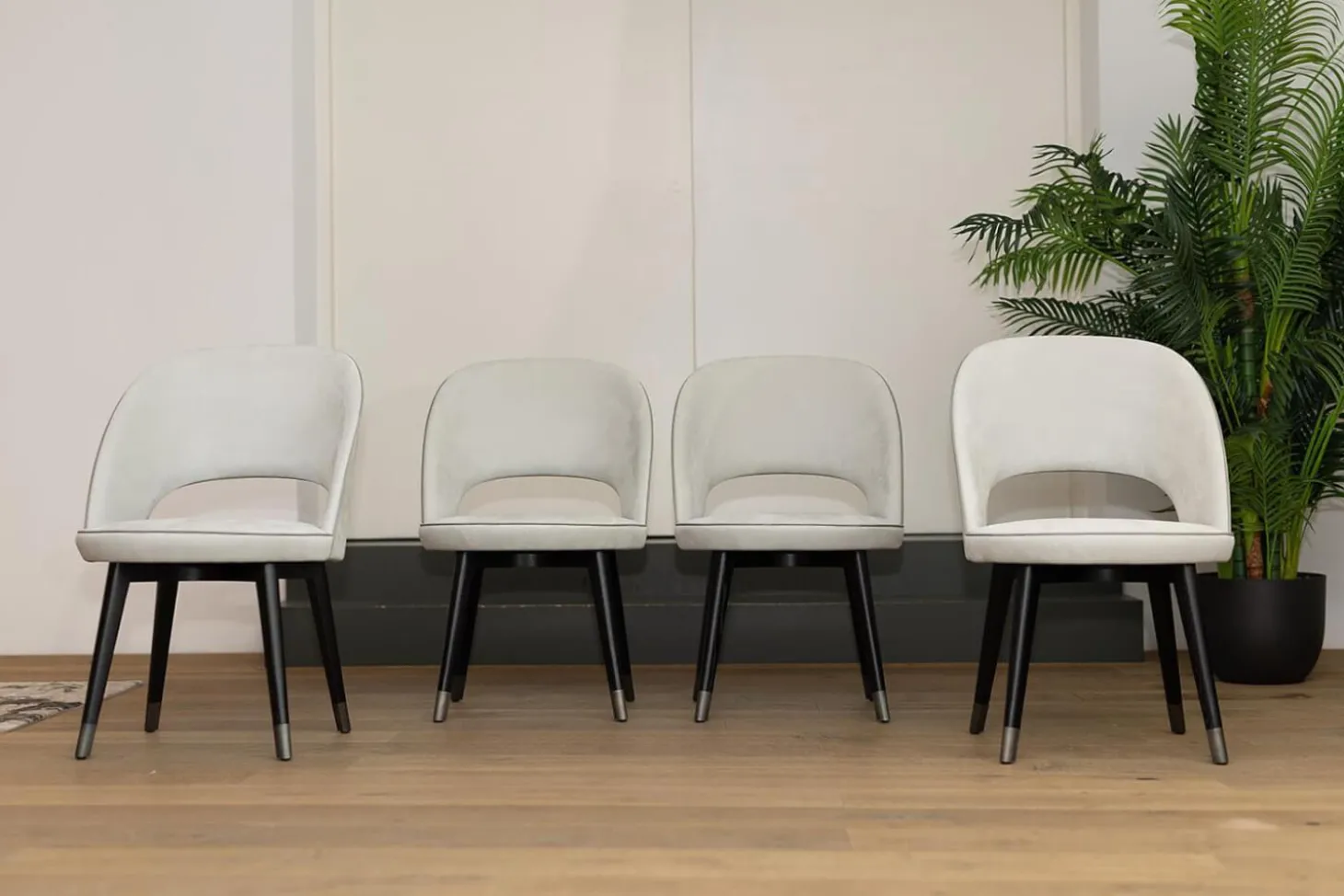 4er-Set Stuhl Colette Bezug Leder Kashmir Nuage Hellgrau Gestell Buche Wengefarben Gebeizt