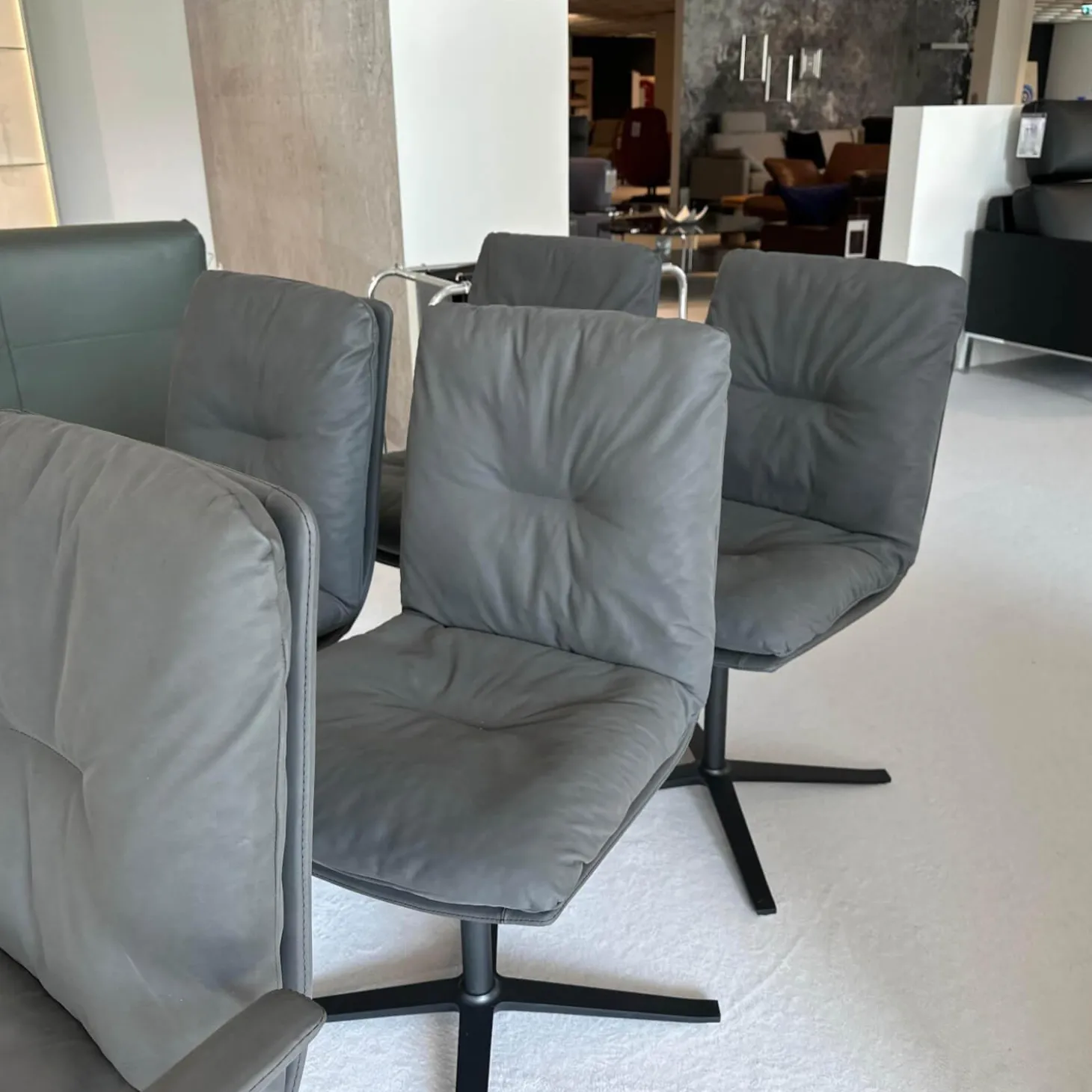 6er-Set Stuhl D 27 Leder Nubuk Touch 5617 Schwarz Drehgestell Metall Schwarz Pulverbeschichtet