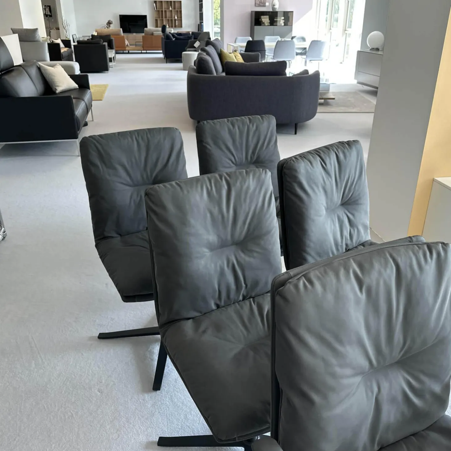 6er-Set Stuhl D 27 Leder Nubuk Touch 5617 Schwarz Drehgestell Metall Schwarz Pulverbeschichtet