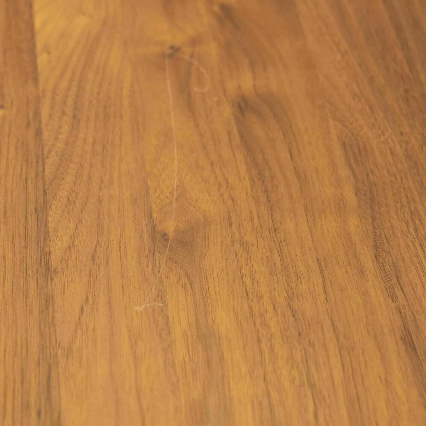 Esstisch Etra Nussbaum Gebeizt