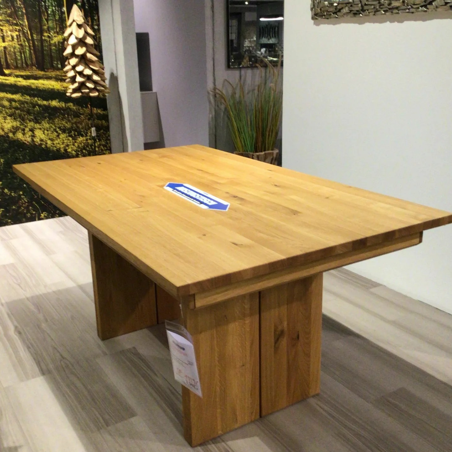 Esstisch Waldsee Wangenesstisch Asteiche Natur Gestellauszug Einhandtechnik