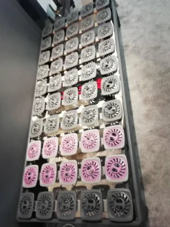 Lattenrost Premium Flex 3000 Verstellbar 2 Motorisch Mit Funkfernbedienung