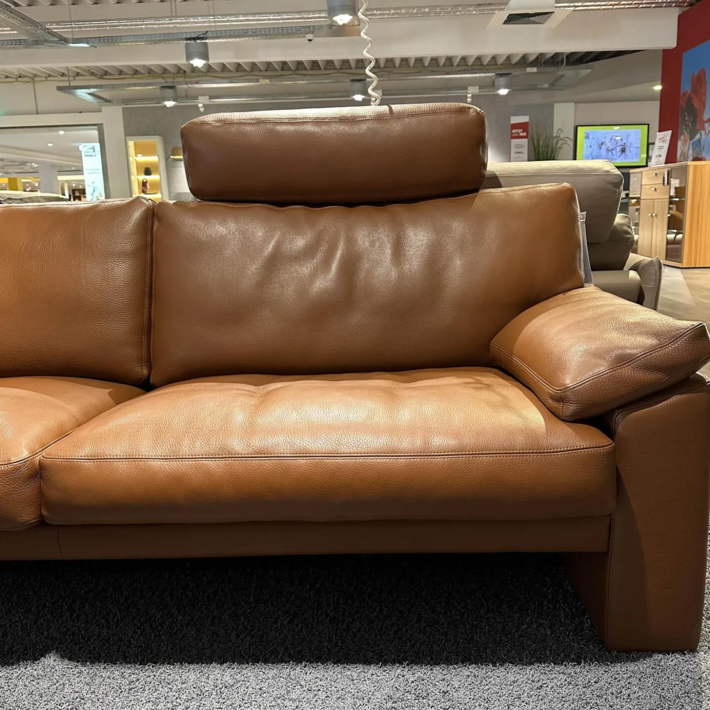 Polstergarnitur XC Leder N Tabac Nature 850 Braun mit Kopfstütze