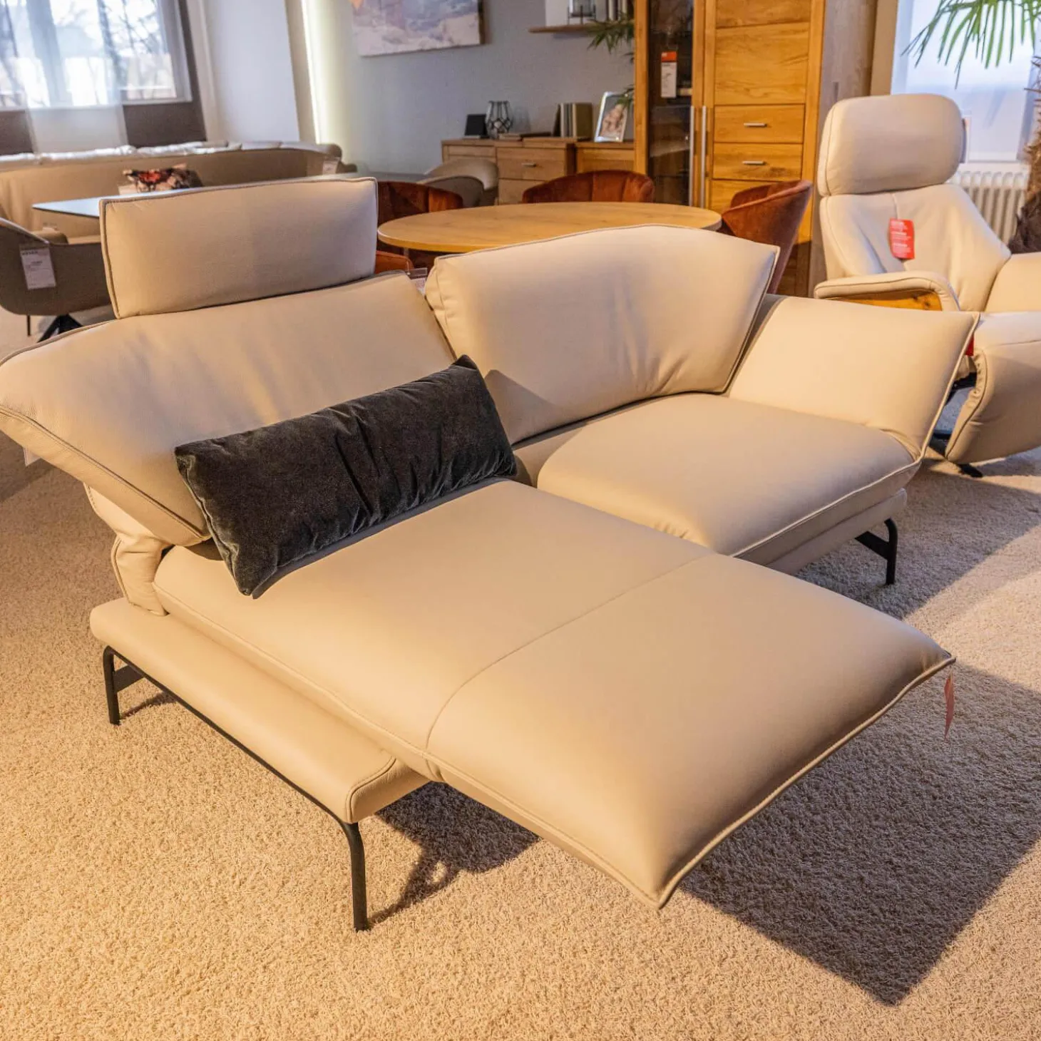 Polstergruppe Nova 1378 Bezug Leder 24 Longru Nebel Beige Grau Füße Anthrazit Pulverbeschichtet