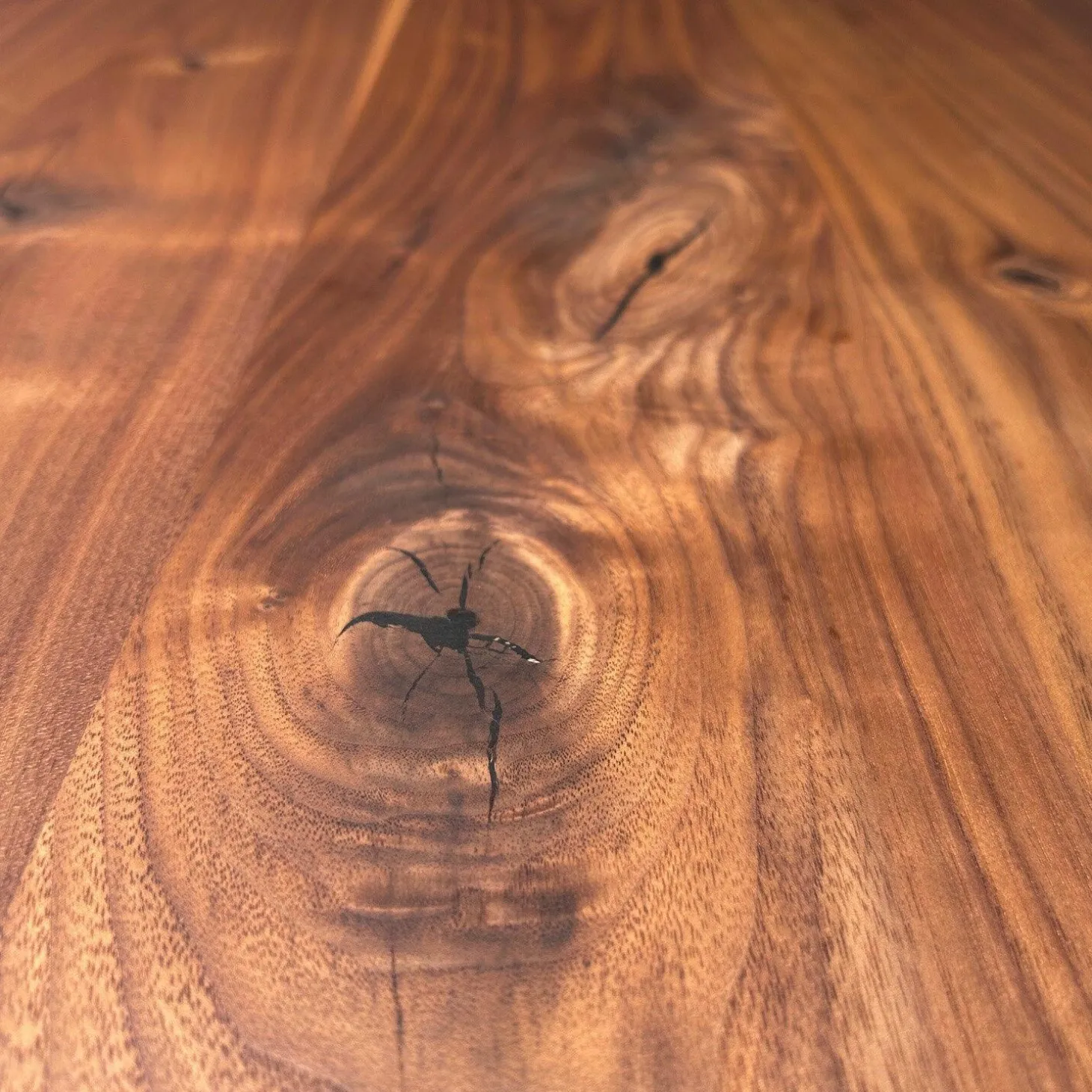 Runder Esstisch Basket BC07 Platte Nussbaum Amerikanisch Natur Geölt Gestell Tiefschwarz