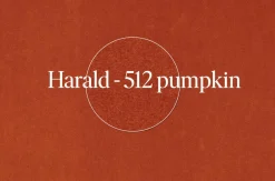 Sessel Bao Außen Leder Seddle Coffee Schwarz Innen Stoff Samt Harald Pumpkin Orange Drehteller Schwarz