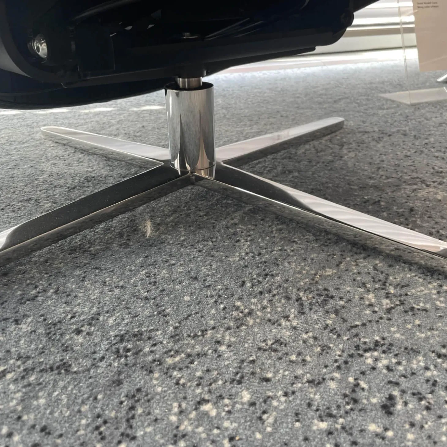 Sessel Boss Bezug Leder Star Graphit Gestell Viersternfuß Verchromt