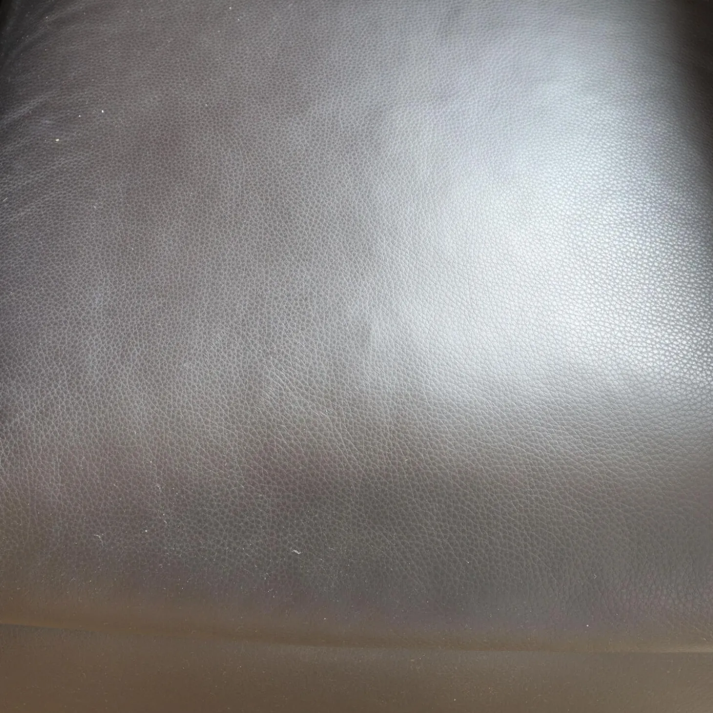 Sessel Mell Bodennah Bezug Leder Semi Mocca 284