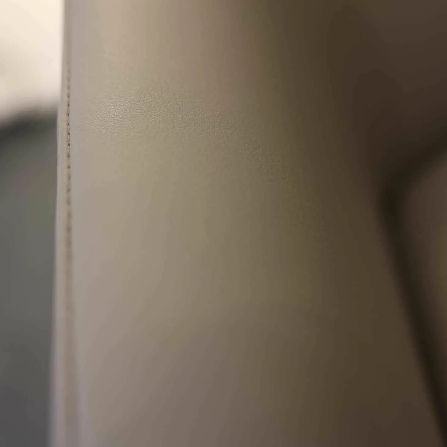 Sessel Occasional Lounge Chair Leder Premium L40 Granit