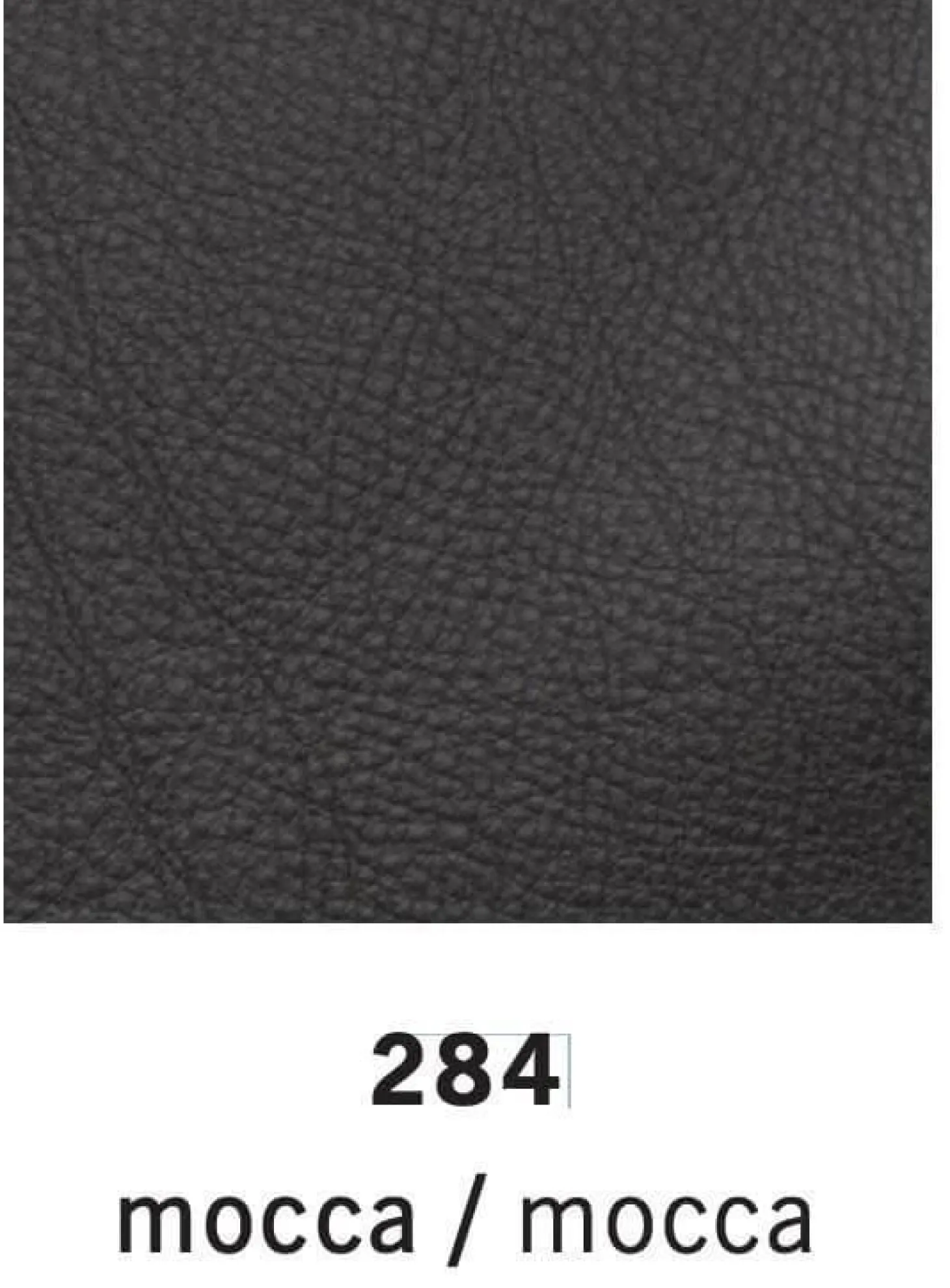 Sessel Quant Leder 284 Mocca Bodennah