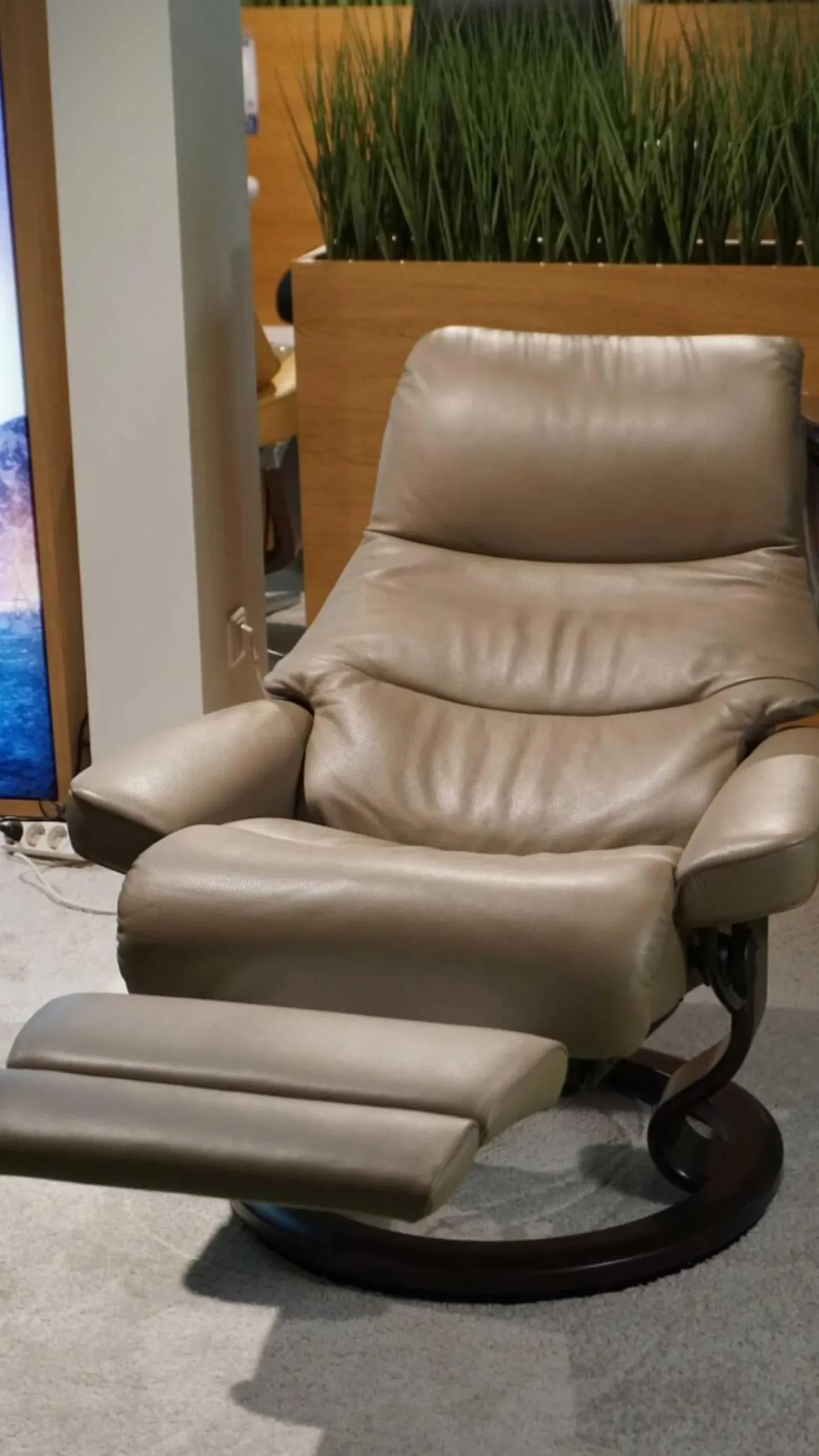 Sessel View M Leder Batick Mole Braun Füße Classic Wenge Gebeizt Mit Power Leg And Back