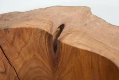 Skulptur Bowl Elm Ulme