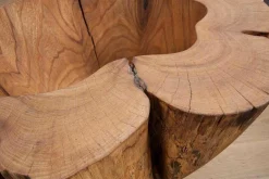 Skulptur Bowl Elm Ulme