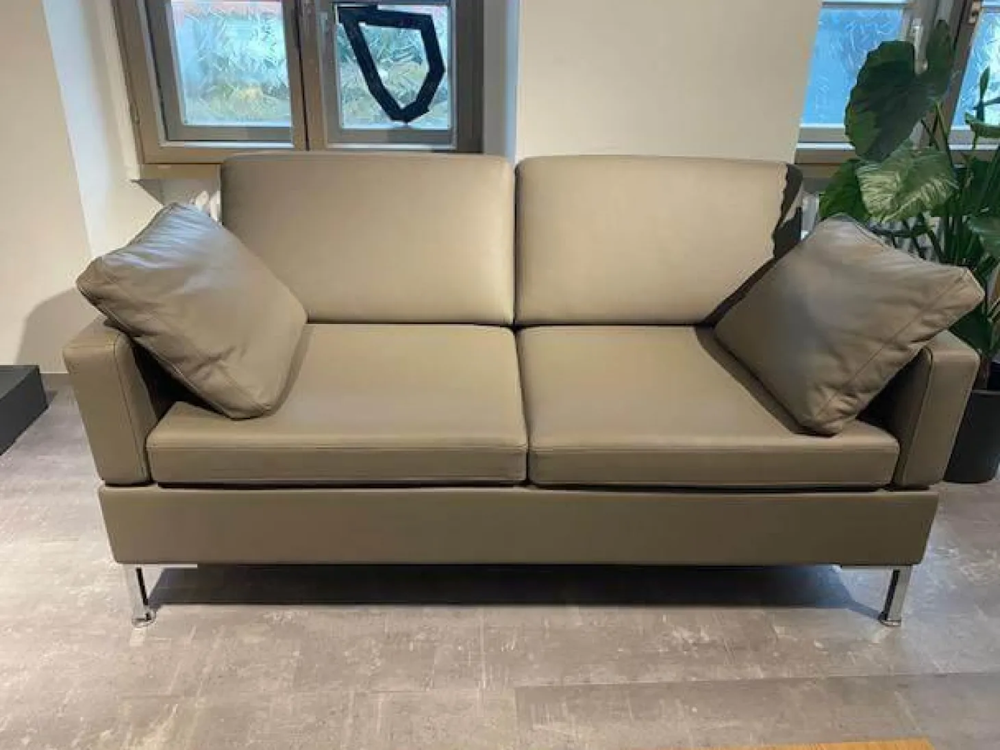 Sofa Alba 85505 Leder 5423 25 Grau Winkelfuß Verchromt Pulverbeschichtet Mit Kissen