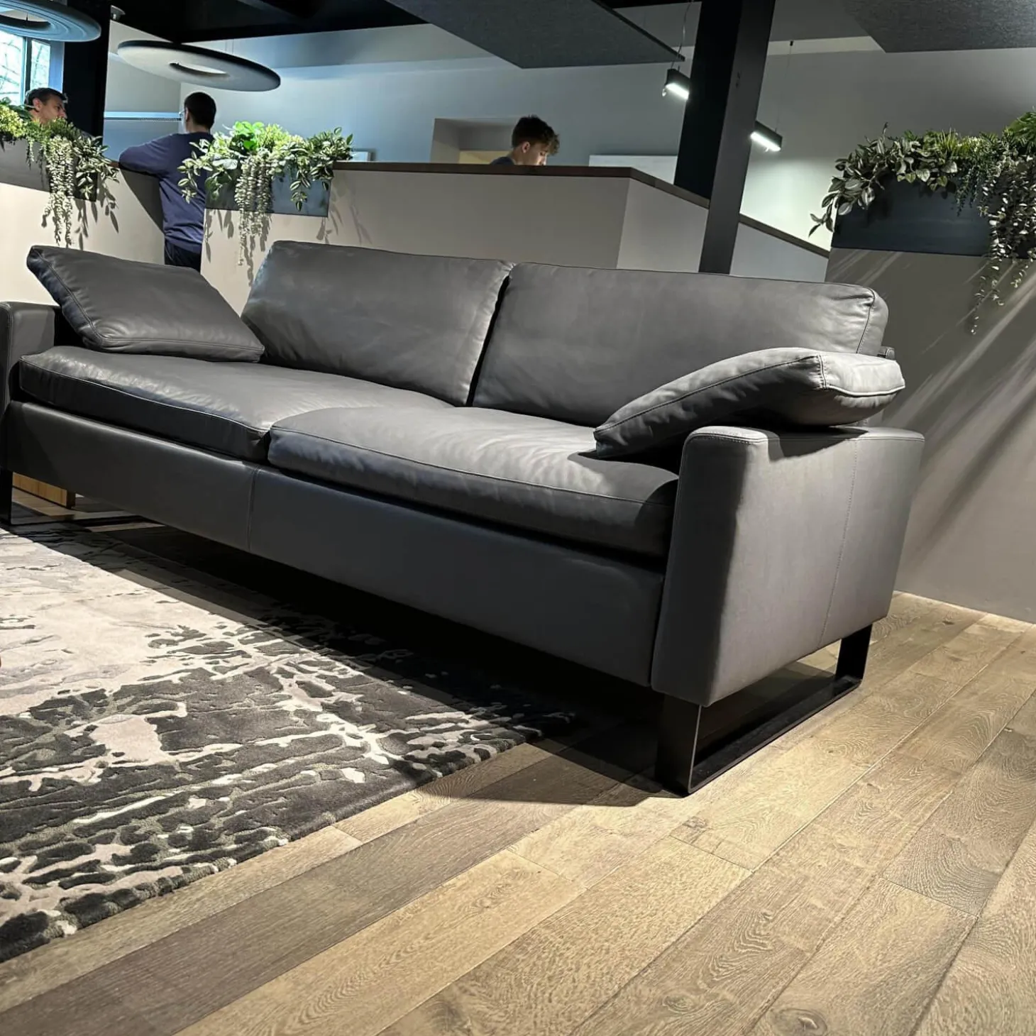 Sofa Alba Leder 5669 95 Grau Metallkufe Schwarz Pulverbeschichtet