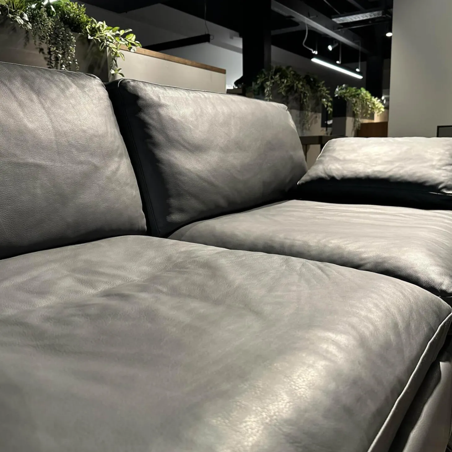 Sofa Alba Leder 5669 95 Grau Metallkufe Schwarz Pulverbeschichtet