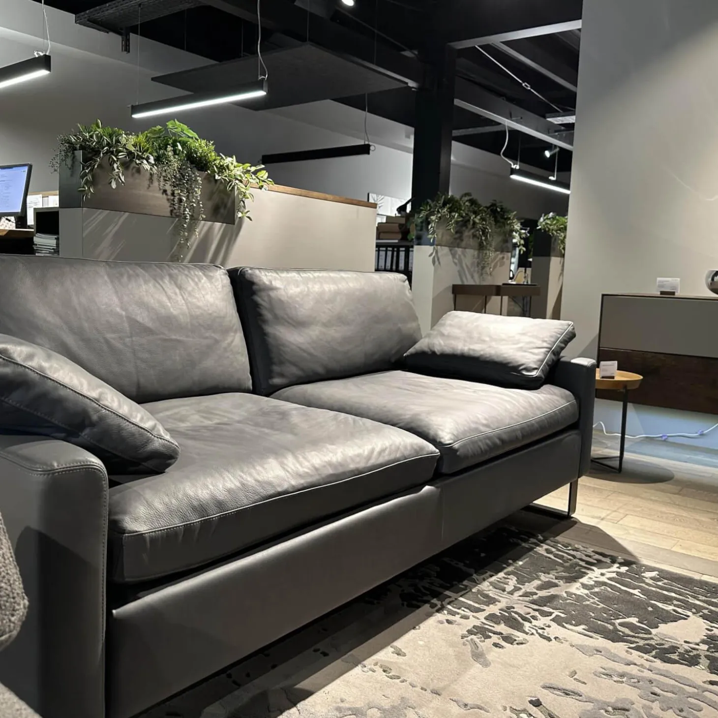 Sofa Alba Leder 5669 95 Grau Metallkufe Schwarz Pulverbeschichtet