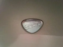 Sofa Aurora Hoch Leder Paloma Mushroom Grau Braun Creme Fuß Stahlbein Rund 8 Chrom