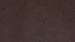 Sofa Edit 2 Leder D Dolce Cola Grau Braun Plateau 2 Balkeneiche Furniert Geölt Mit LED Beleuchtung Und Soundsystem