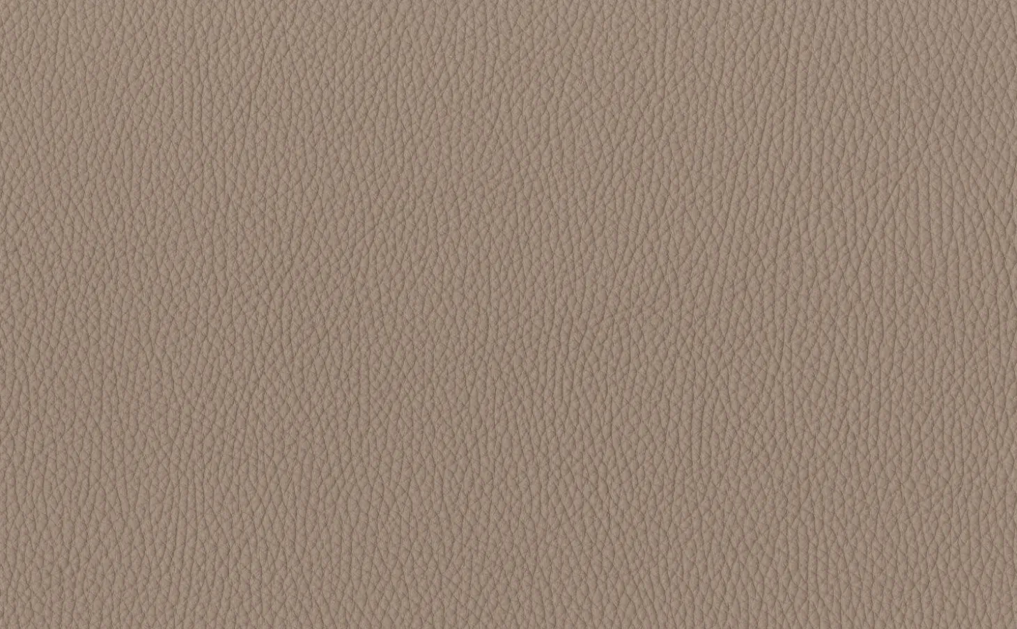 Sofa Maaru 850 Bezug Leder Rodeo Soft 1417 Pebble Grau Untergestell Matt Pulverbeschichtet Bronze