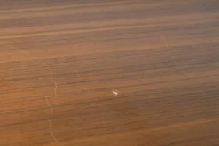 Stehpult USM Haller Mittelgrau Ablage Nussbaum