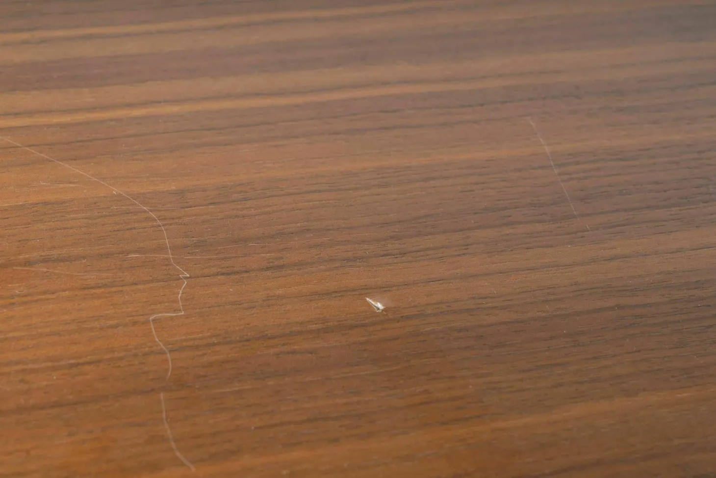 Stehpult USM Haller Mittelgrau Ablage Nussbaum